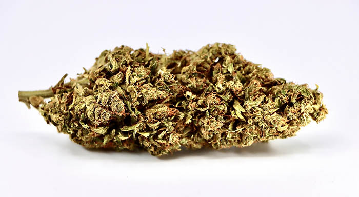 CandyLand-Hemp-Flower.jpg