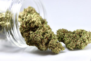 Emerald Drip Hemp Flower with Jar