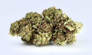 Lucky Cookies Hemp Flower