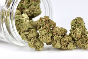 Lucky Cookies in Jar