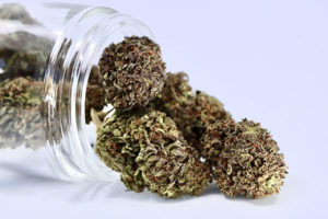 Northern Lights Hemp Jar