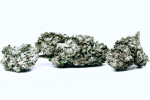 White Tiger CBG Group
