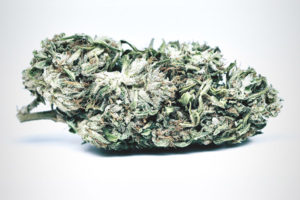 White Tiger CBG Hemp Flower