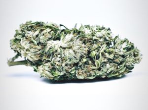 White Tiger Hemp Flower CBG