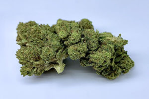 Grizzly Glue Hemp Flower