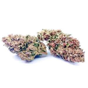 Strawberry Shortcake Hemp Flower
