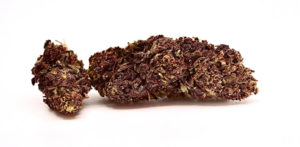 Purple Frost Hemp Flower
