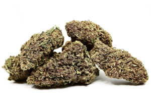OG XR-11 Hemp Flower Group