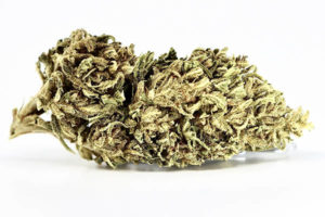 Ice Cream Hemp Flower