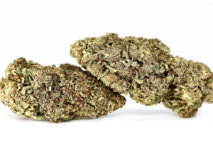 2 Rolls Choice Flowers