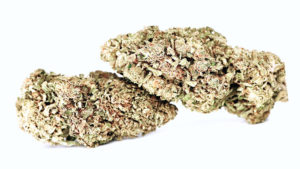 2 Rolls Choice Flowers