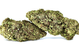Bubba K-XL Hemp Flower