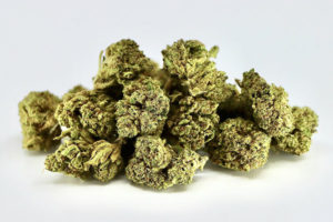 Key Lime Pie Smalls Hemp Flower