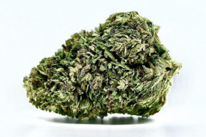 Charlottes Sister Hemp Flower