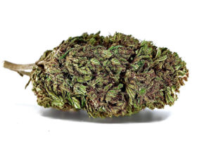 Alien Abduction Hemp Flower