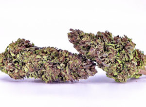 Grapezilla Hemp Flower