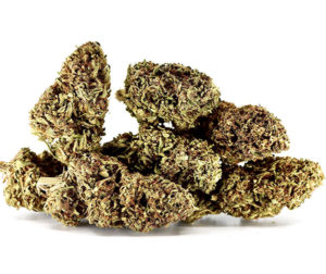 Lemonesia Hemp Flower