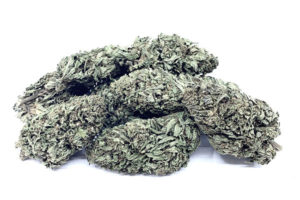 Angel's Breath Hemp Flower