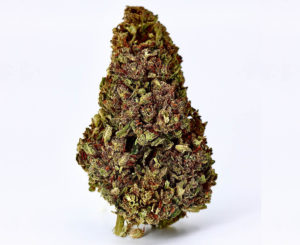 Frosted Berry Kush Hemp Flower