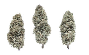 Frosty Hemp Flower