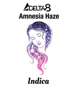 Amnesia Haze Disposable