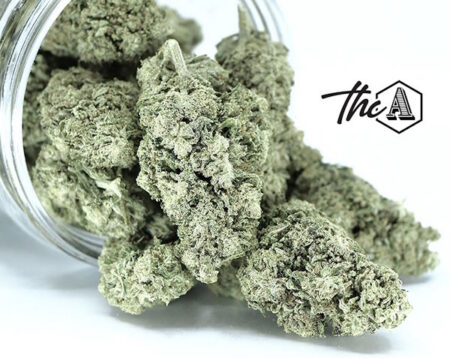 Indoor Cereal Milk THCA Flower