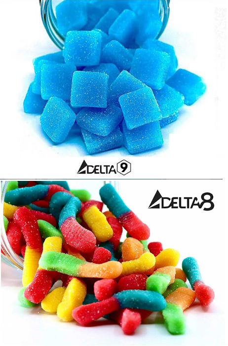 Blue Heaven & CannaCrawlers