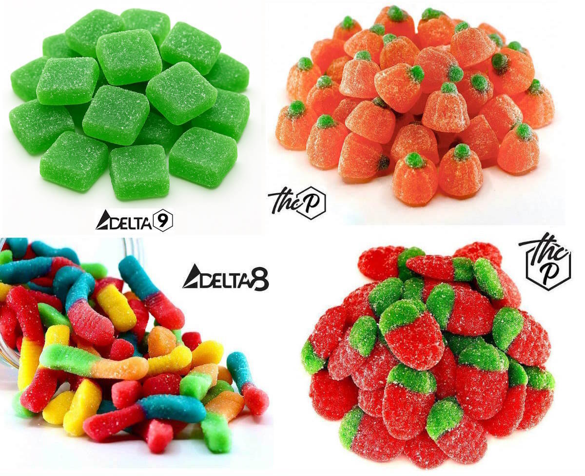 Forbidden Apple, Enchanted Pumpkins, Canna Crawlers & Magic Strawberry