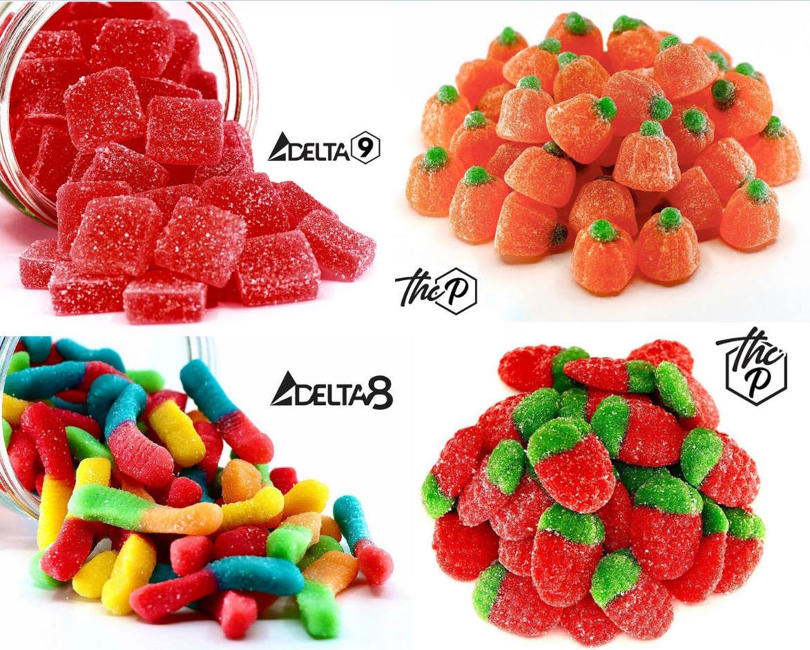 Strawberry Haze, Enchanted Pumpkins, Canna Crawlers & Magic Strawberry