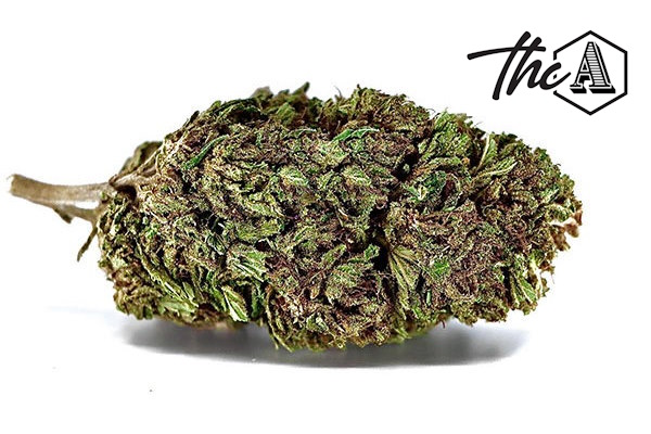 Oreoz THCA Flower