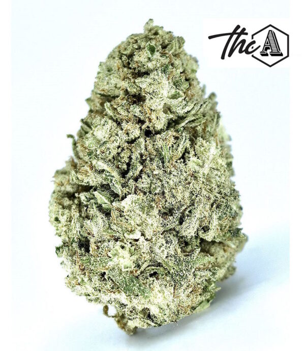 Sugar Pops THCA Flower