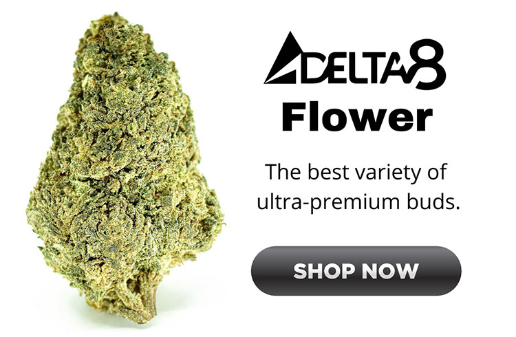 Shop Delta-8 Flower Buds