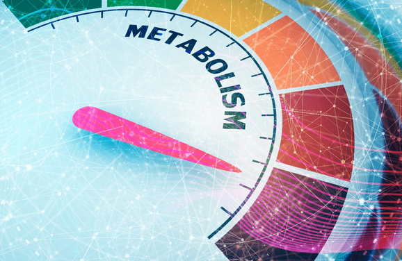 Metabolism D8